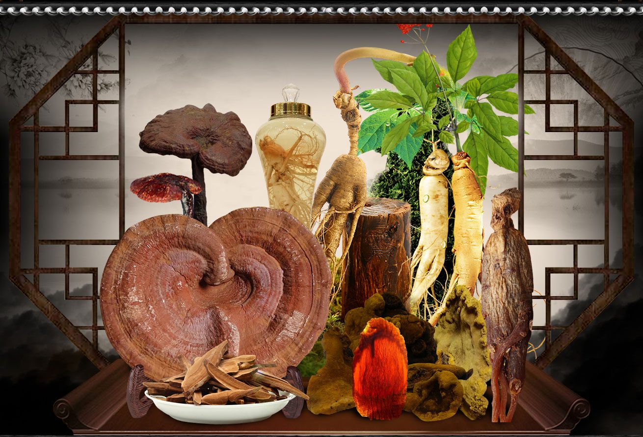 nhân sâm hàn quốc, nấm linh chi hàn quốc