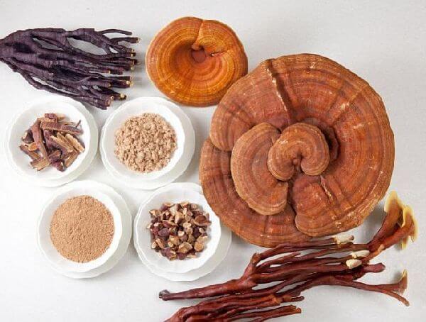 tác dụng của nấm linh chi