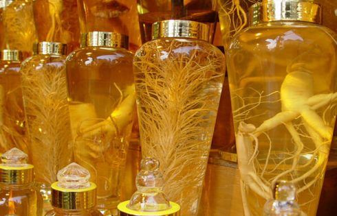 nhân sâm hàn quốc ngâm rượu