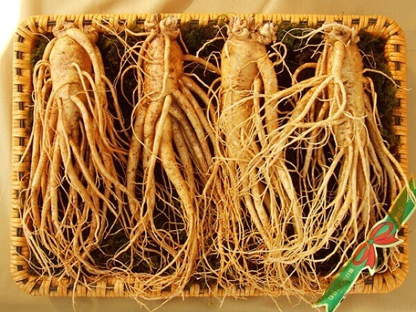 Nhân sâm Hàn Quốc 6 năm tuổi
