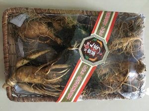 Nhân sâm Hàn Quốc 6 năm tuổi