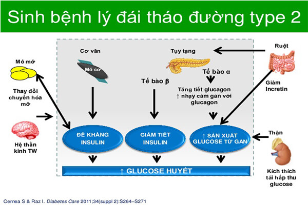 thực đơn cho người tiểu đường type 2