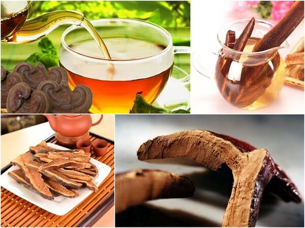 cách nấu nước linh chi tốt nhất