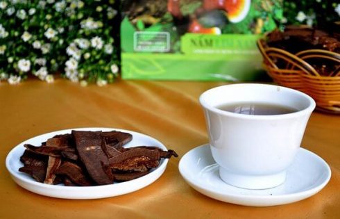 cách nấu nước linh chi tốt nhất