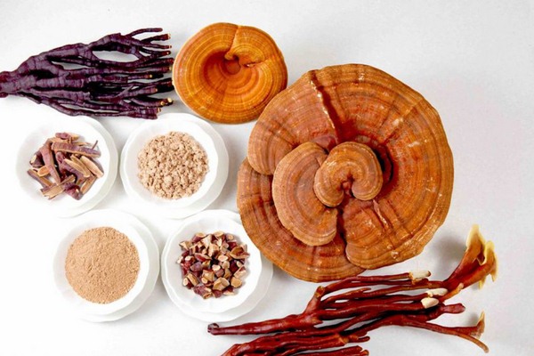 nấm linh chi hàn quốc