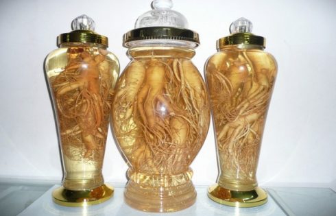 sâm Hàn Quốc ngâm rượu có tác dụng gì