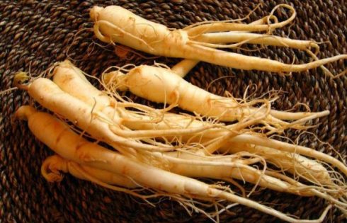 hồng sâm hàn quốc giá bao nhiêu