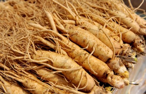 Rượu sâm hàn quốc giá bao nhiêu