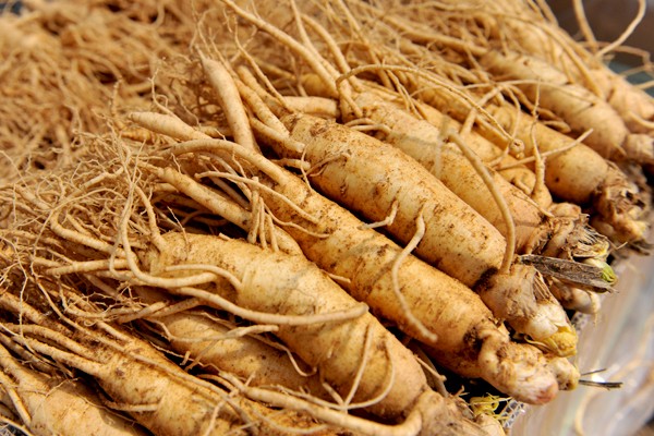 rượu sâm hàn quốc giá bao nhiêu