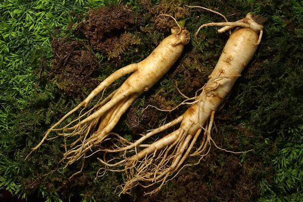 Giá sâm tươi tại Hàn Quốc