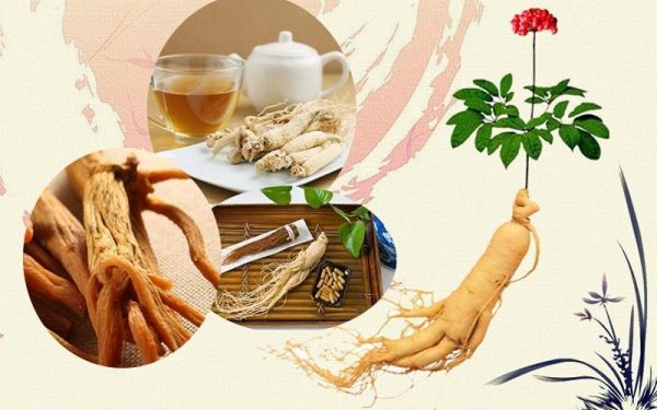 cách uống sâm Hàn Quốc tốt nhất