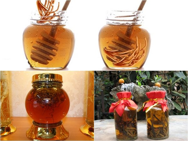 đông trùng hạ thảo