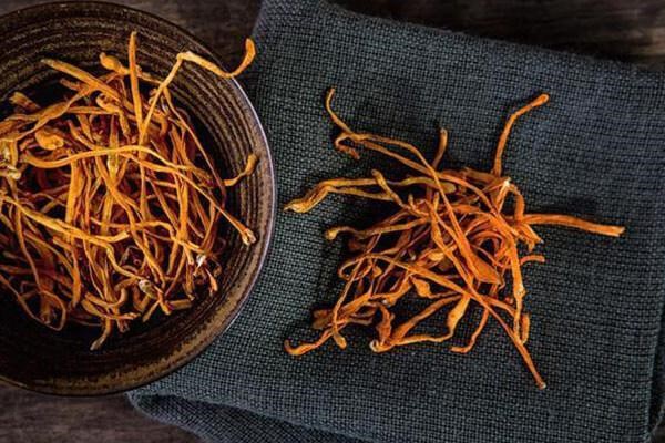 cách chế biến đông trùng hạ thảo