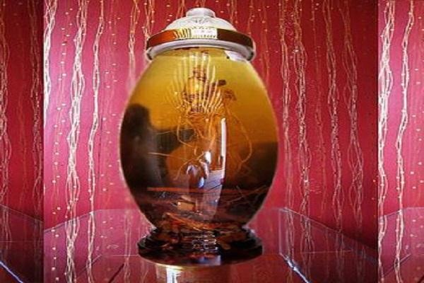 đông trùng hạ thảo