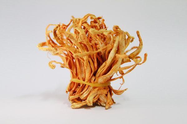 đông trùng hạ thảo của Hàn Quốc