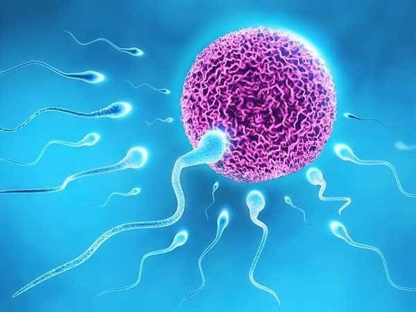 công dụng của Sentrip