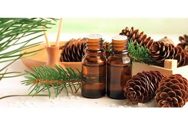 Tác dụng của tinh dầu thông đỏ Hàn Quốc