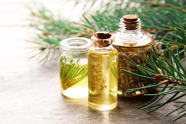 Dùng tinh dầu thông đỏ như thế nào?