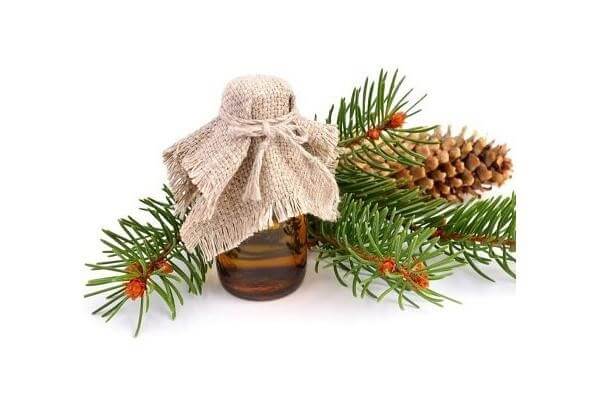 Tinh dầu thông đỏ chữa ung thư