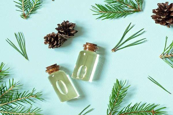 Uống tinh dầu thông đỏ bao lâu