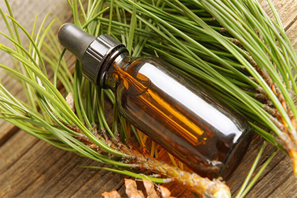 Tinh dầu thông đỏ nhập nội địa