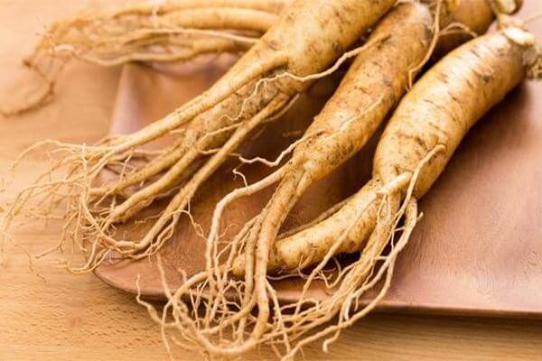 Mua nhân sâm chính phủ ở đâu