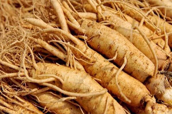 nhân sâm 6 năm tuổi