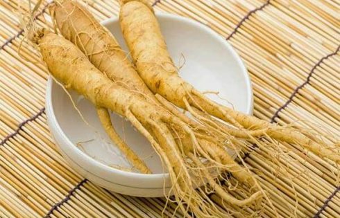 Cửa hàng sâm chính phủ