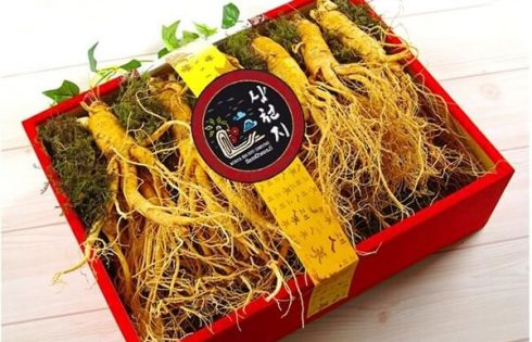 Mua sâm chính phủ Hàn Quốc