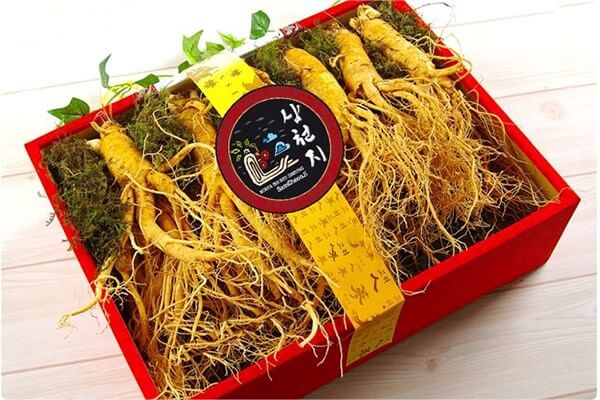 Mua sâm chính phủ Hàn Quốc