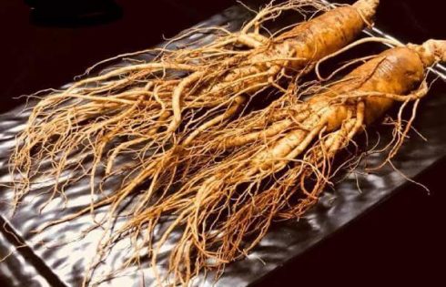 Sâm chính phủ của Hàn Quốc