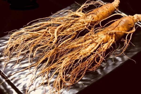 Sâm chính phủ của Hàn Quốc