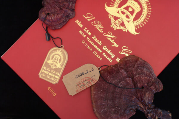 Thành phần Nấm lim xanh của Lê Phúc Hoàng Gia